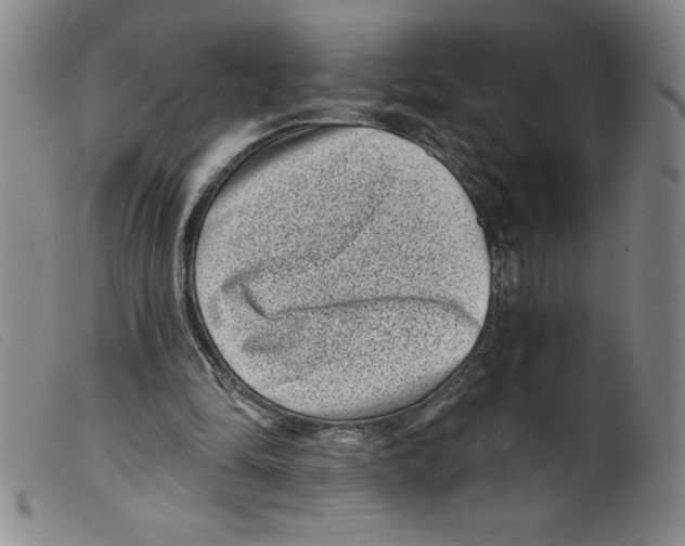 X0000098200294200805221548