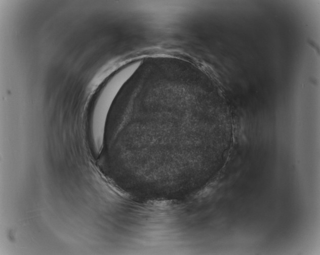 X0000098200295200805221548