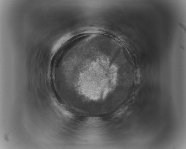 X0000098200296200805221548