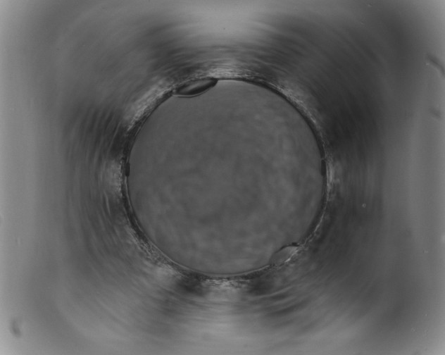 X0000098200297200805221548