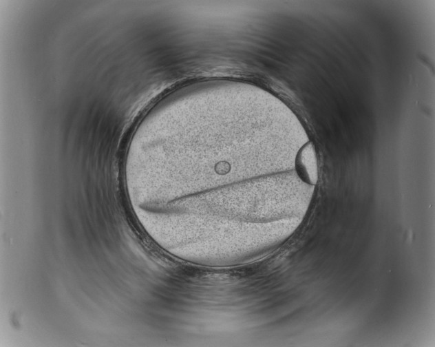 X0000098200298200805221548