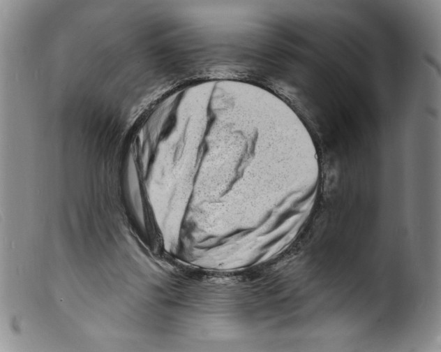 X0000098200299200805221548