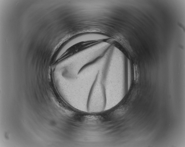 X0000098200300200805221548
