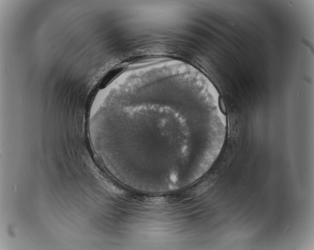 X0000098200301200805221548