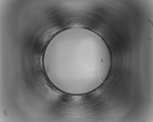 X0000098200302200805221548