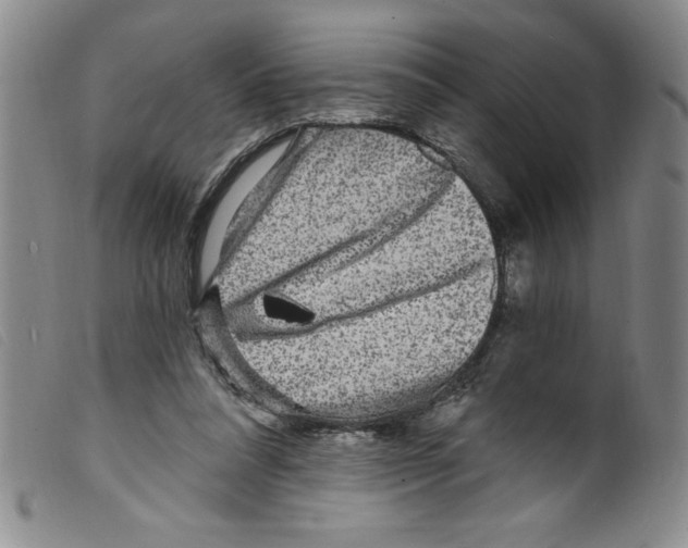 X0000098200304200805221548