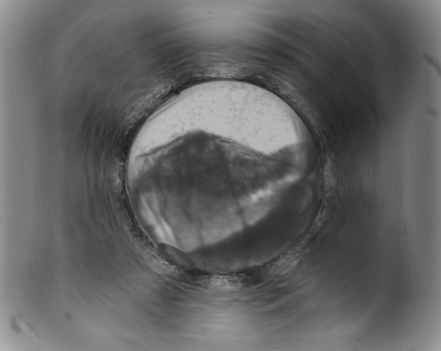X0000098200305200805221548