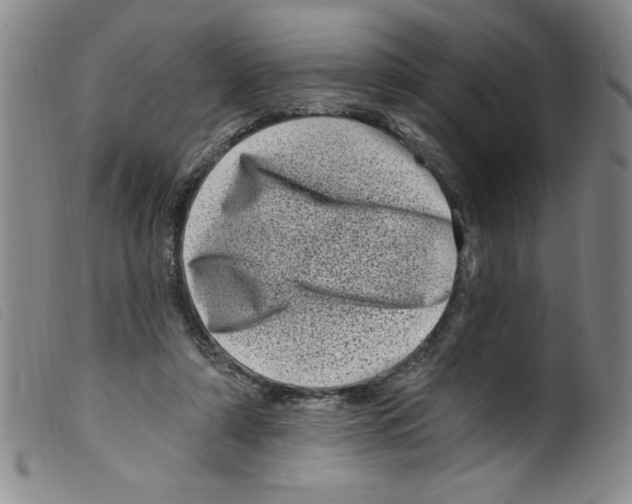 X0000098200306200805221548