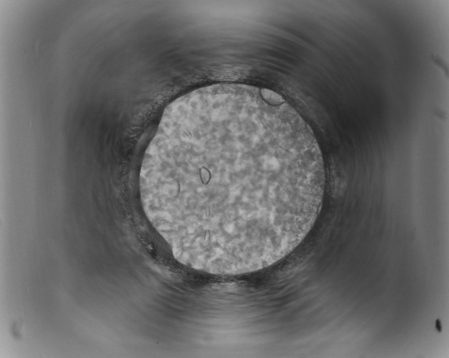 X0000098200307200805221548