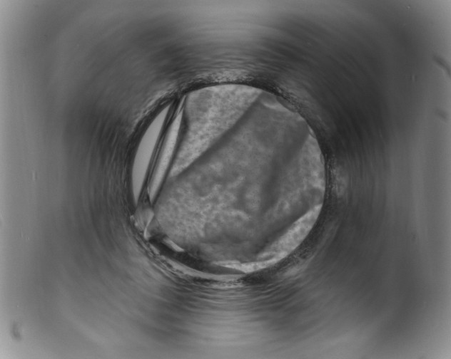 X0000098200308200805221548