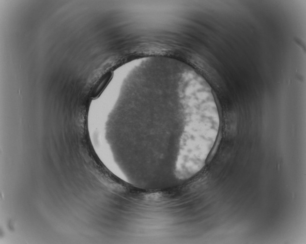 X0000098200309200805221548