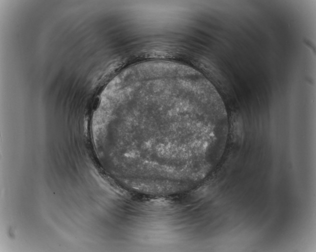 X0000098200310200805221548