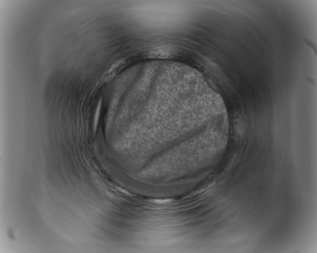 X0000098200312200805221548