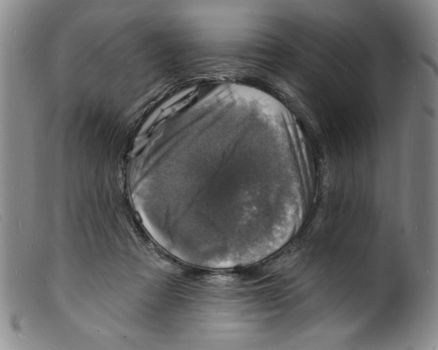 X0000098200313200805221548