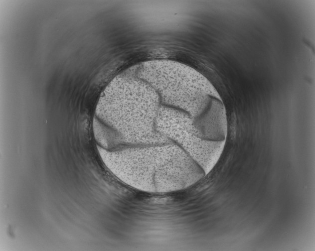 X0000098200314200805221548