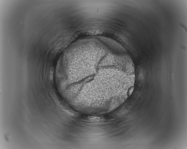 X0000098200315200805221548