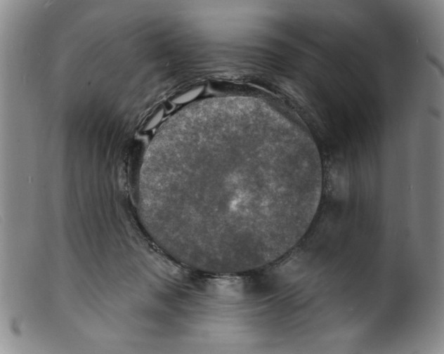 X0000098200317200805221548