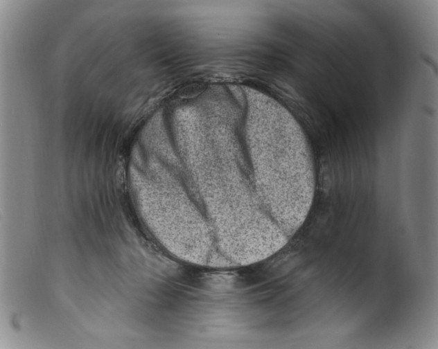 X0000098200318200805221548