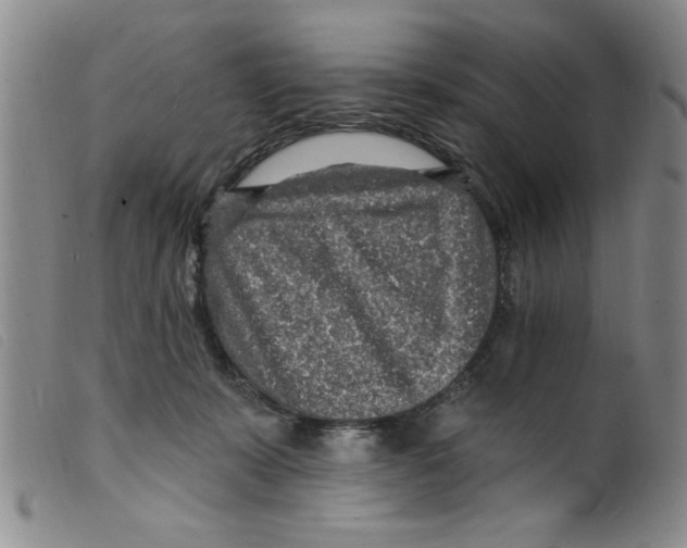 X0000098200319200805221548
