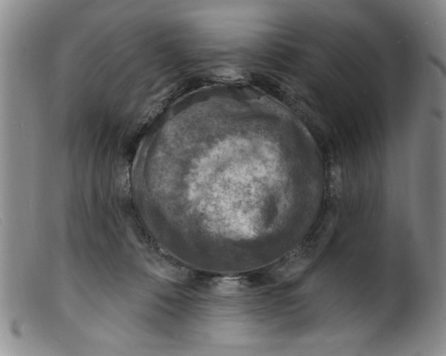 X0000098200320200805221548