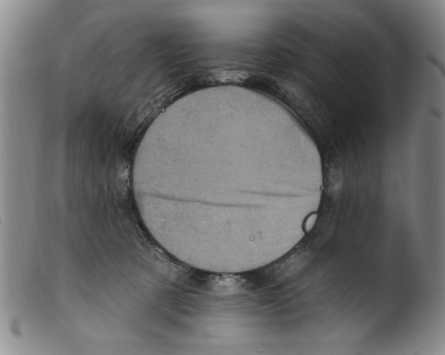 X0000098200321200805221548