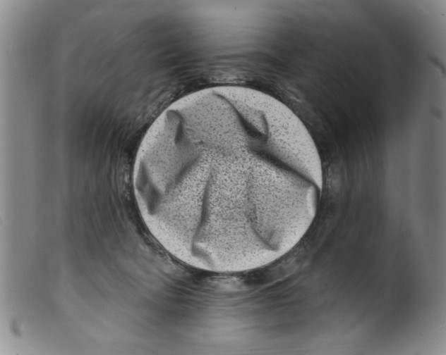 X0000098200322200805221547
