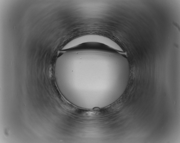 X0000098200323200805221547