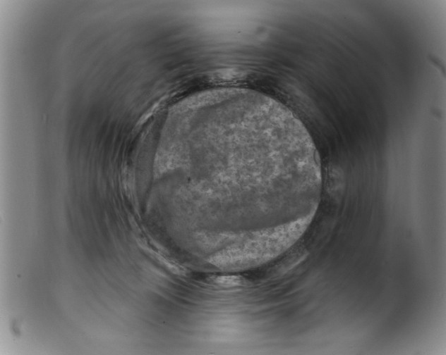 X0000098200324200805221547