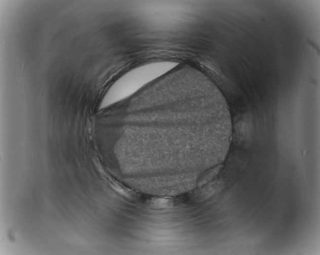 X0000098200325200805221547