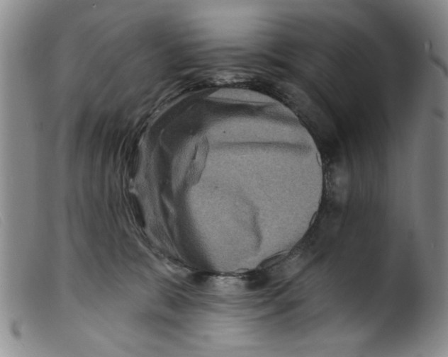 X0000098200327200805221547