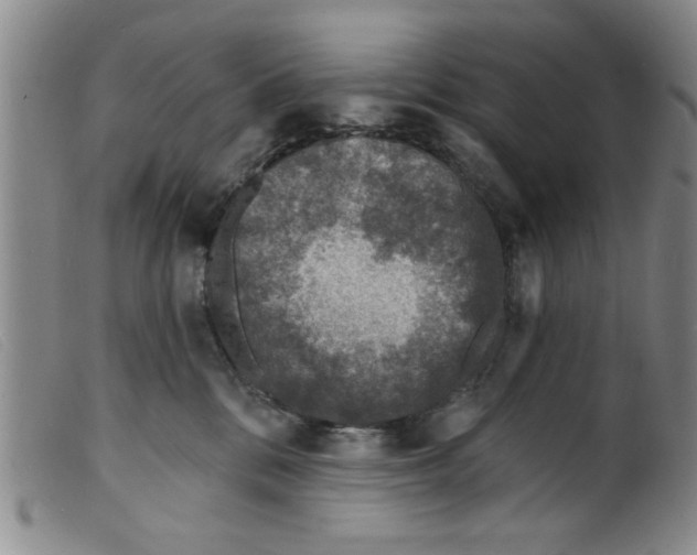 X0000098200328200805221547