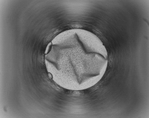 X0000098200330200805221547