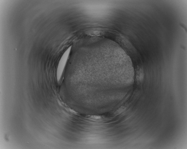 X0000098200332200805221547