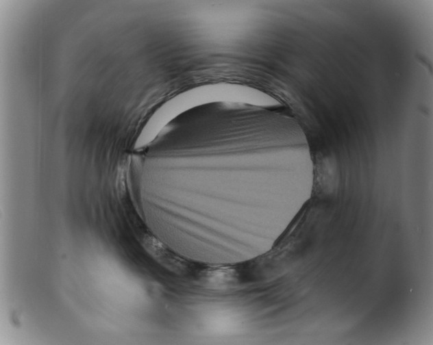 X0000098200333200805221547