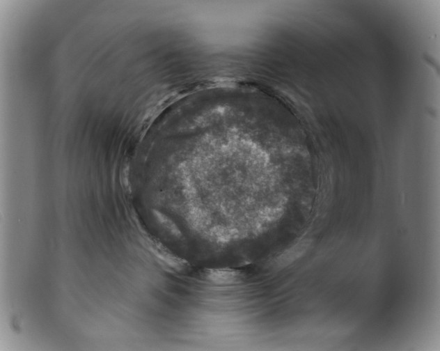 X0000098200336200805221547