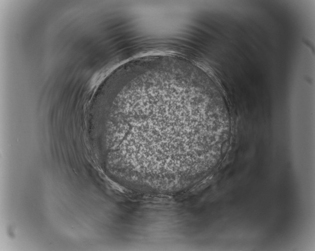X0000098200337200805221546