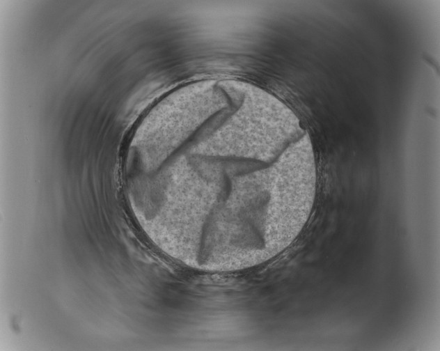 X0000098200338200805221546