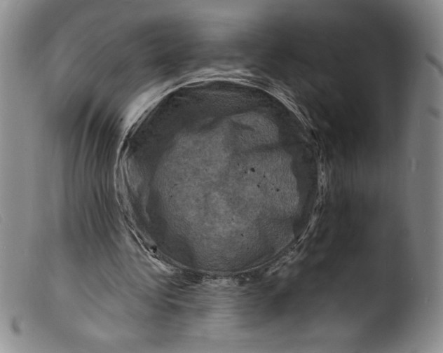X0000098200340200805221546