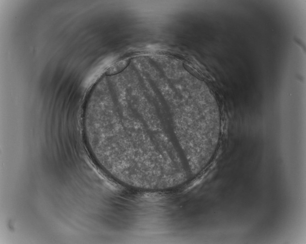 X0000098200341200805221547