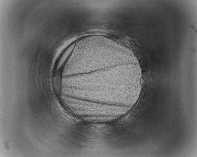 X0000098200342200805221547