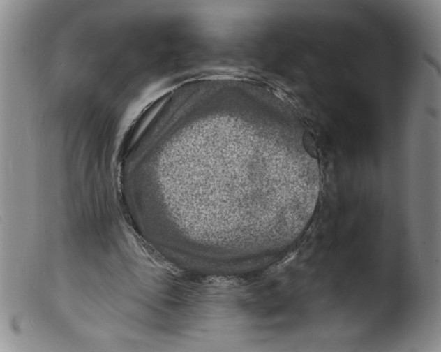 X0000098200343200805221547