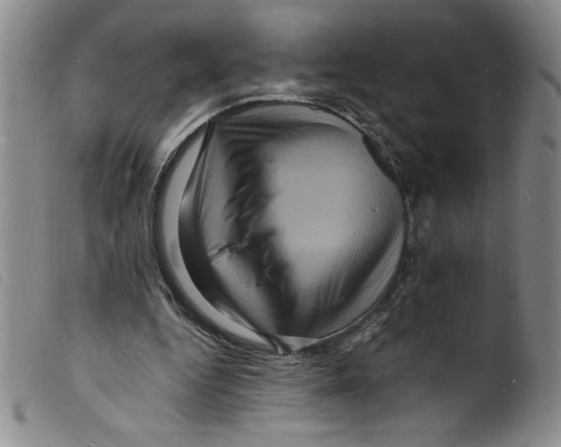 X0000098200344200805221547