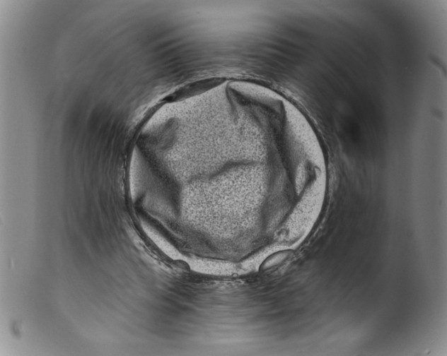 X0000098200345200805221547