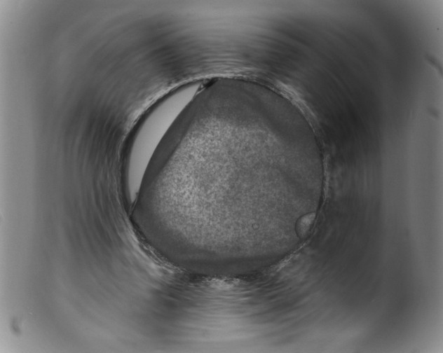 X0000098200346200805221547