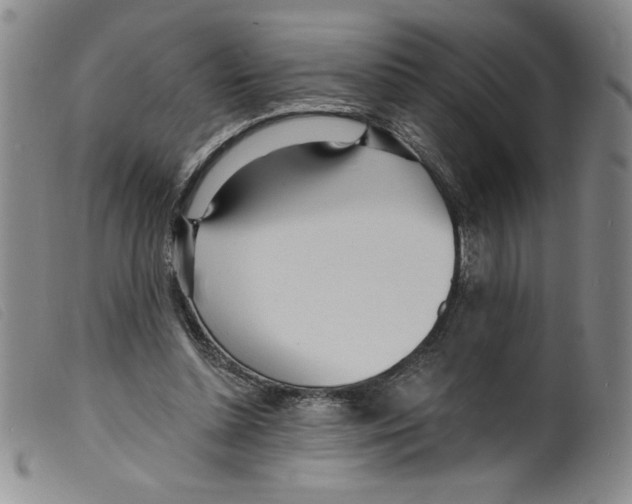 X0000098200348200805221547