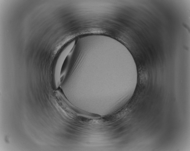 X0000098200350200805221547