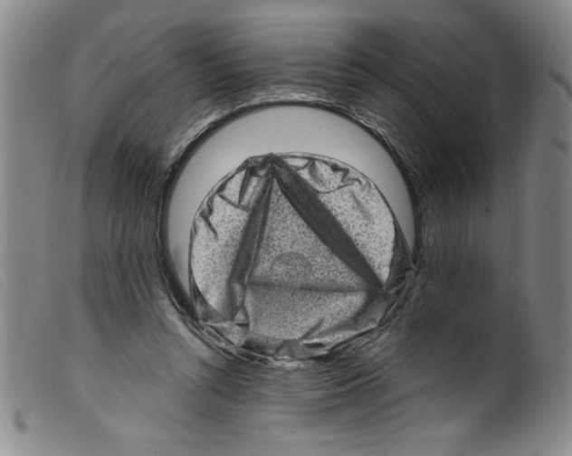 X0000098200352200805221547