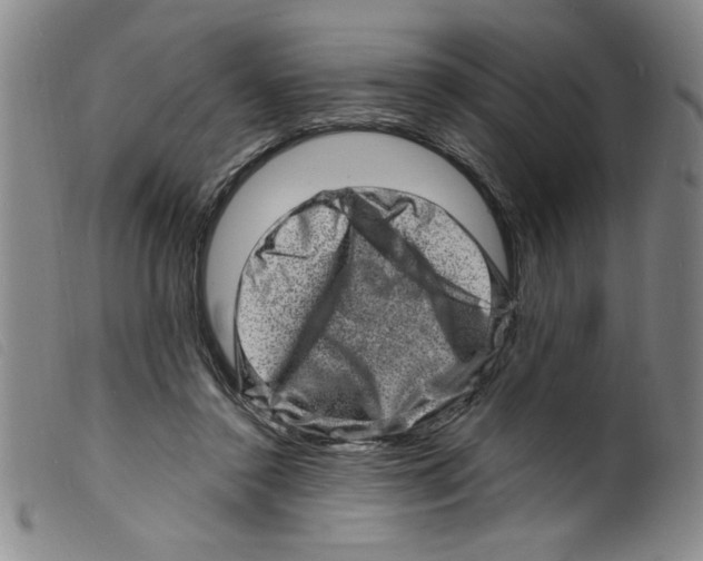 X0000098200356200805221547