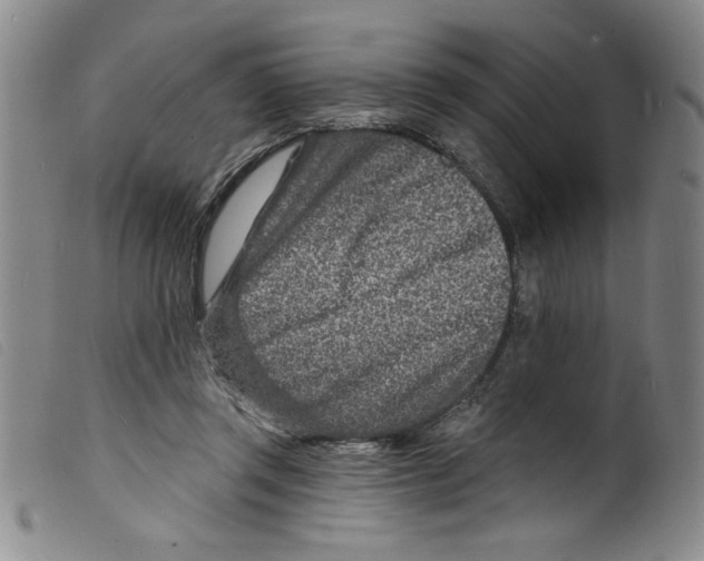 X0000098200357200805221547