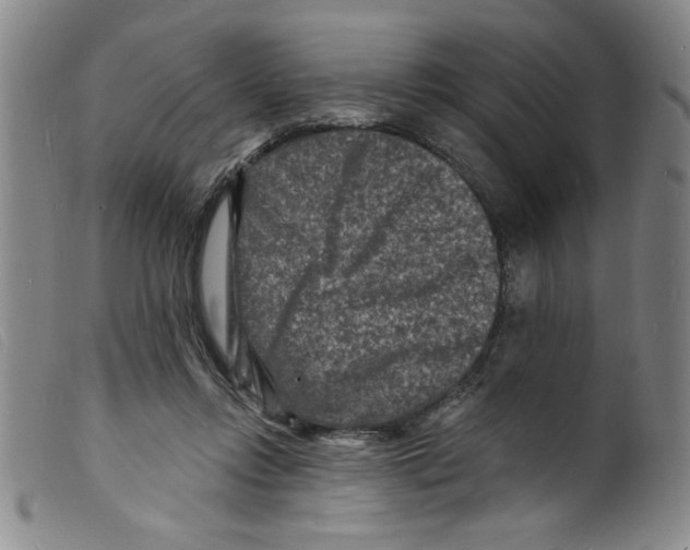 X0000098200358200805221547